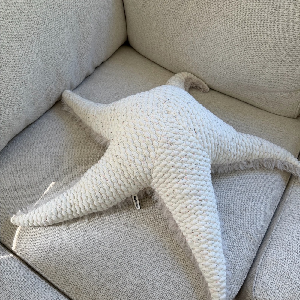 BIG Stuffed Big Starfish